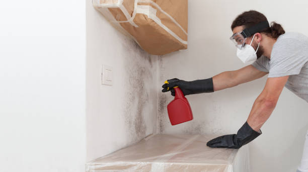 Professional Basement Mold Remediation technician working in Atlantic Beach, FL